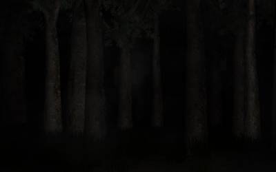 Палочник / Slender: The Eight Pages v0.9.7 (2012 - Eng) + Портативная версия / Portable