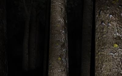 Палочник / Slender: The Eight Pages v0.9.7 (2012 - Eng) + Портативная версия / Portable