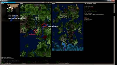 Dwarf Fortress v0.42.05 [Rus / Eng] (2006)